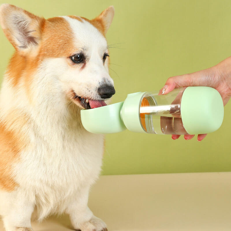 2 in 1 Portable Outdoor Dog Water Bottle-Pet Bowls, Feeders & Waterers-Pets Are Framily