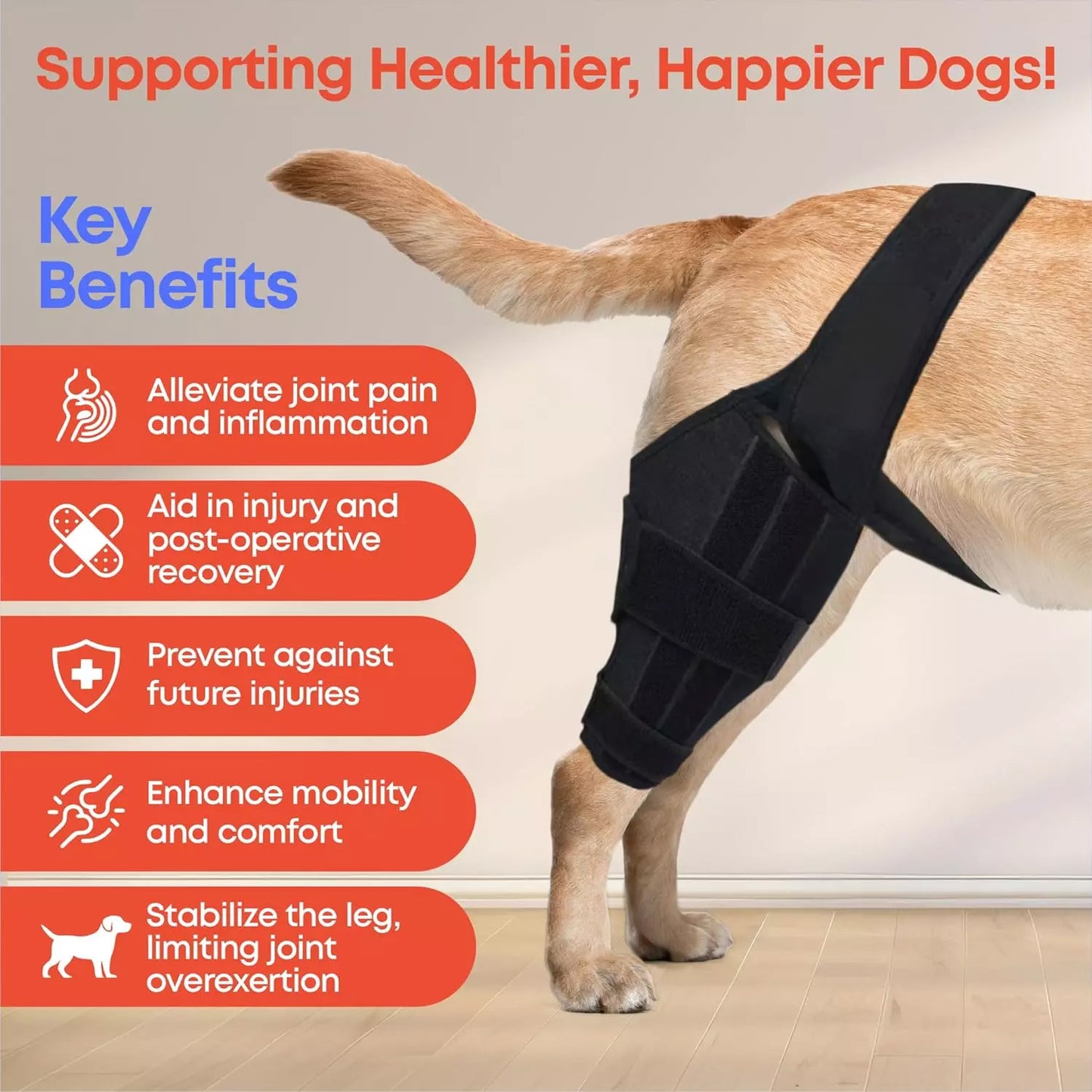 Best Dog Knee Brace for Torn ACL or Arthritis – Durable, Lightweight, and Adjustable ACL Support – Improve Mobility and Stability
