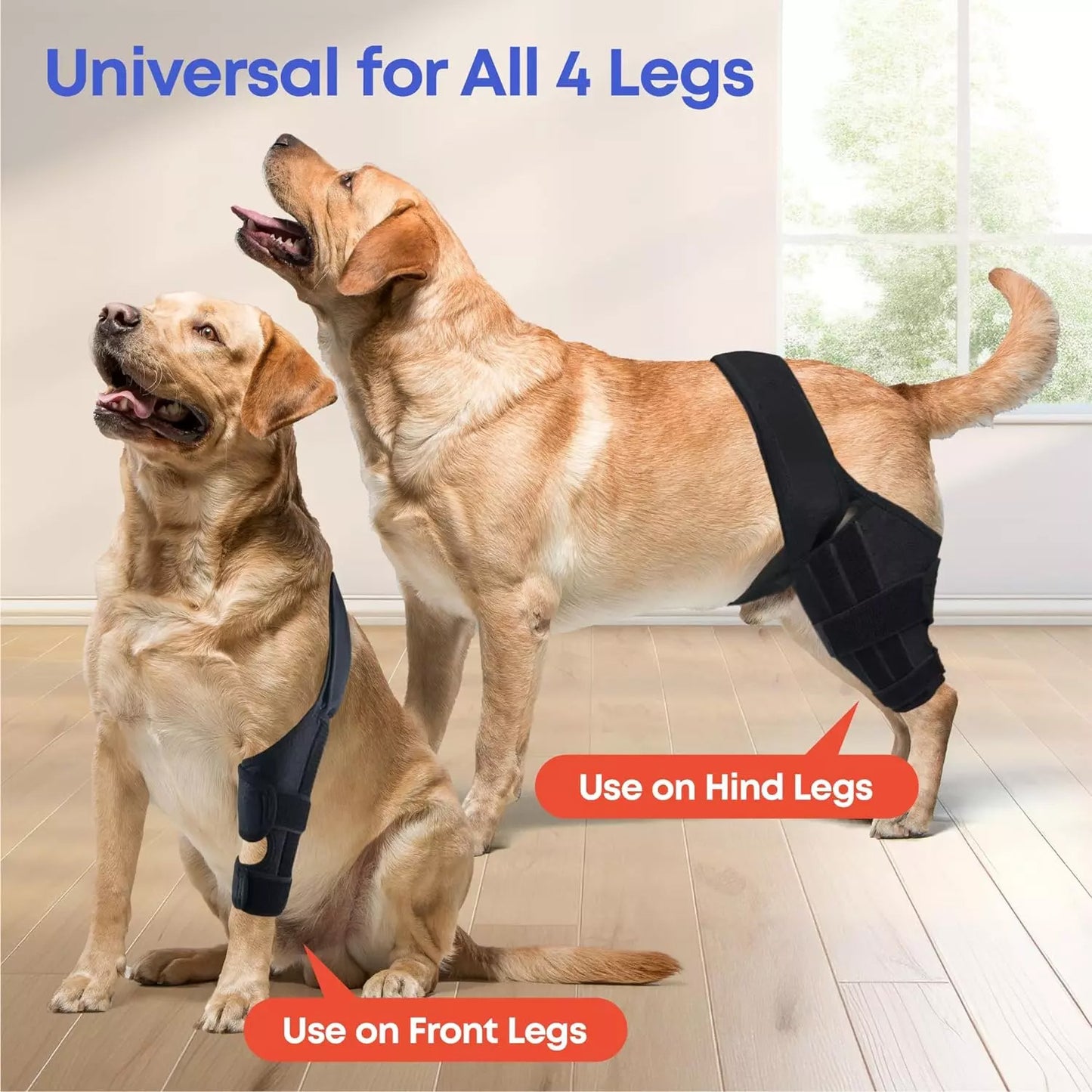 Best Dog Knee Brace for Torn ACL or Arthritis – Durable, Lightweight, and Adjustable ACL Support – Improve Mobility and Stability
