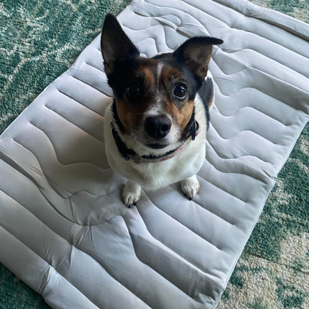 Cooling Mat for Dogs - Cooling Pad for Small & Large Pets, Use in Crate, Kennel, Bed, Sofa, Machine Washable