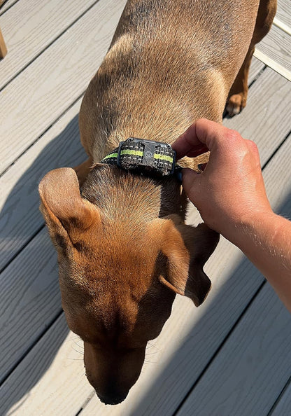 Dog Shock Collar with Remote for 3 dogs - Waterproof & Rechargeable ECollar, Cover 2600ft