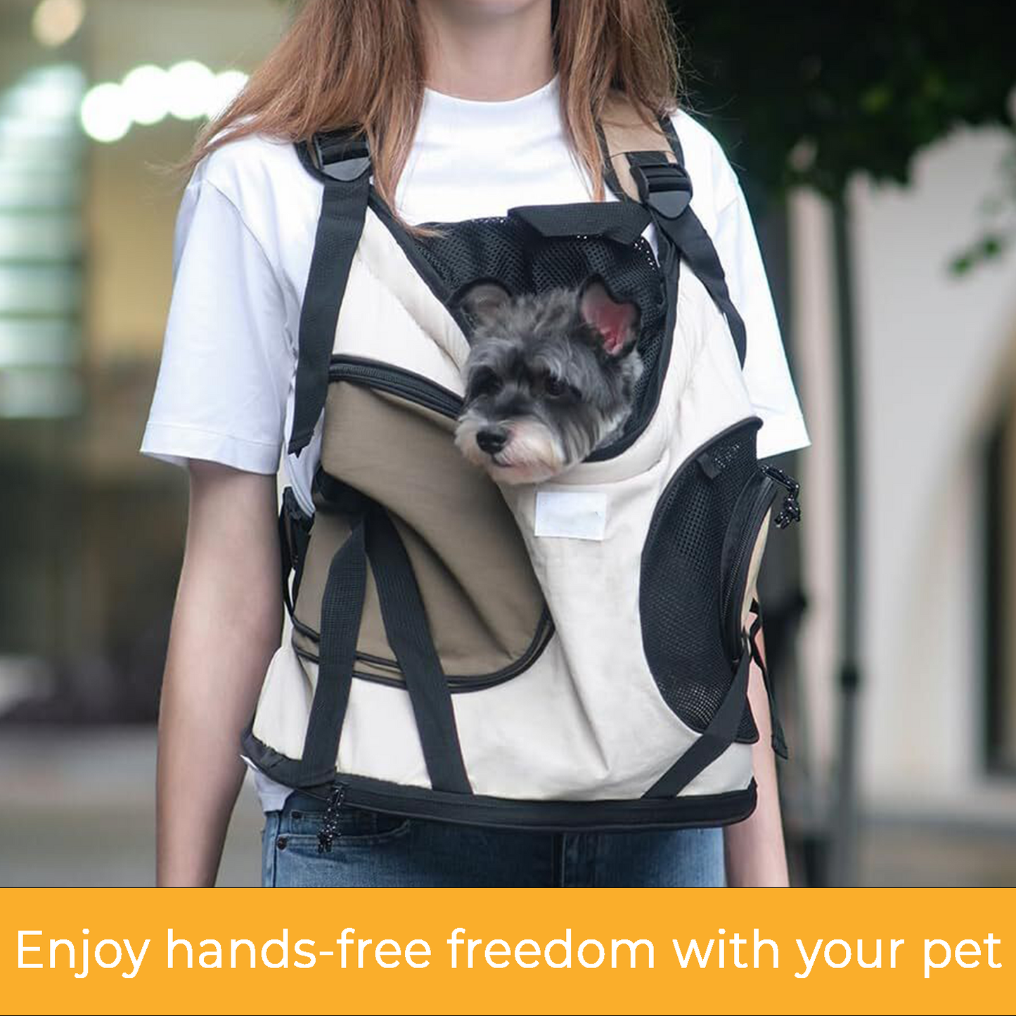 Pet Carrier for Small Dogs or Cats - Front Facing Carrier with Hard Base - Up to 20 lbs