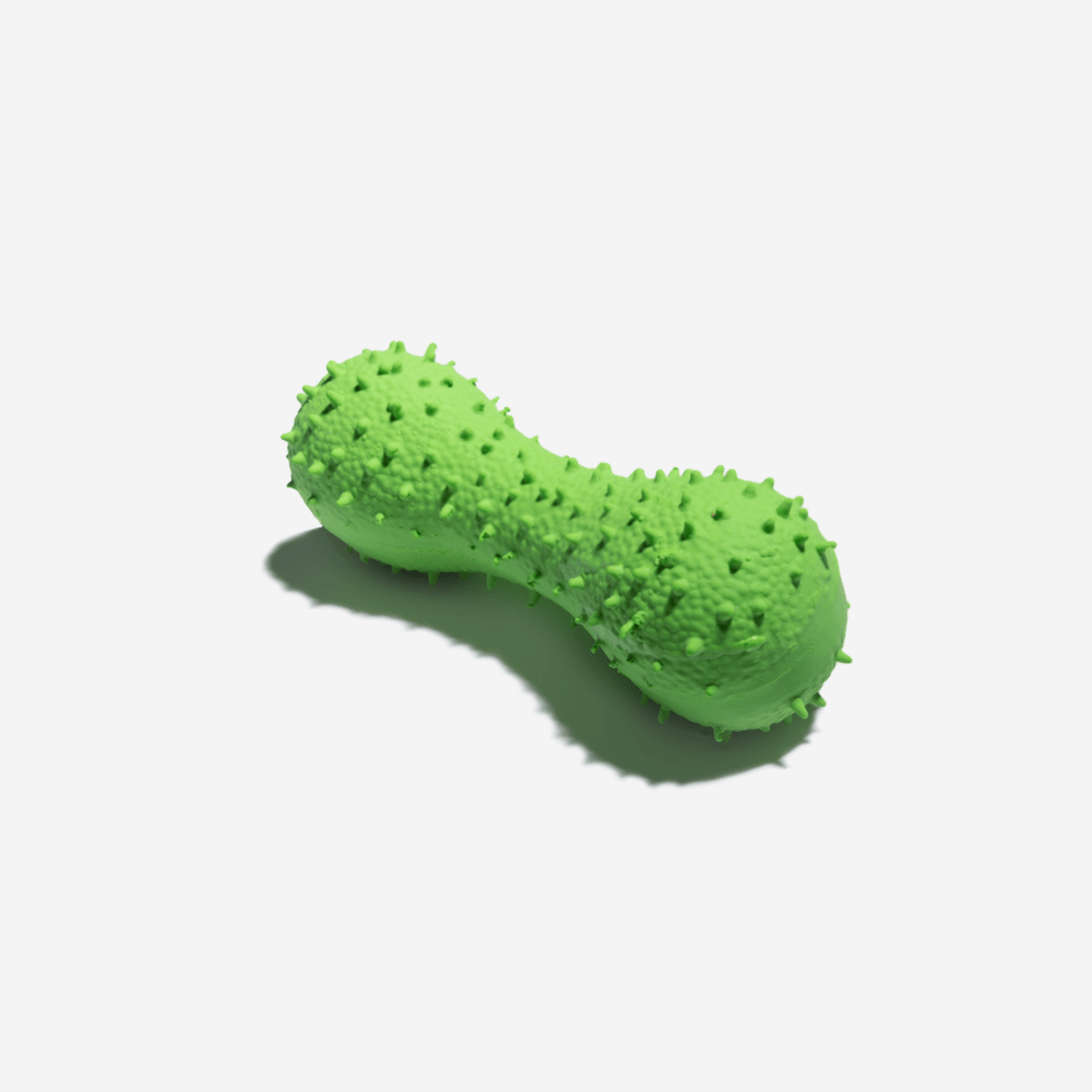 Cactus Shaped Squeaky Dog Toy-Dog Toys-Pets Are Framily