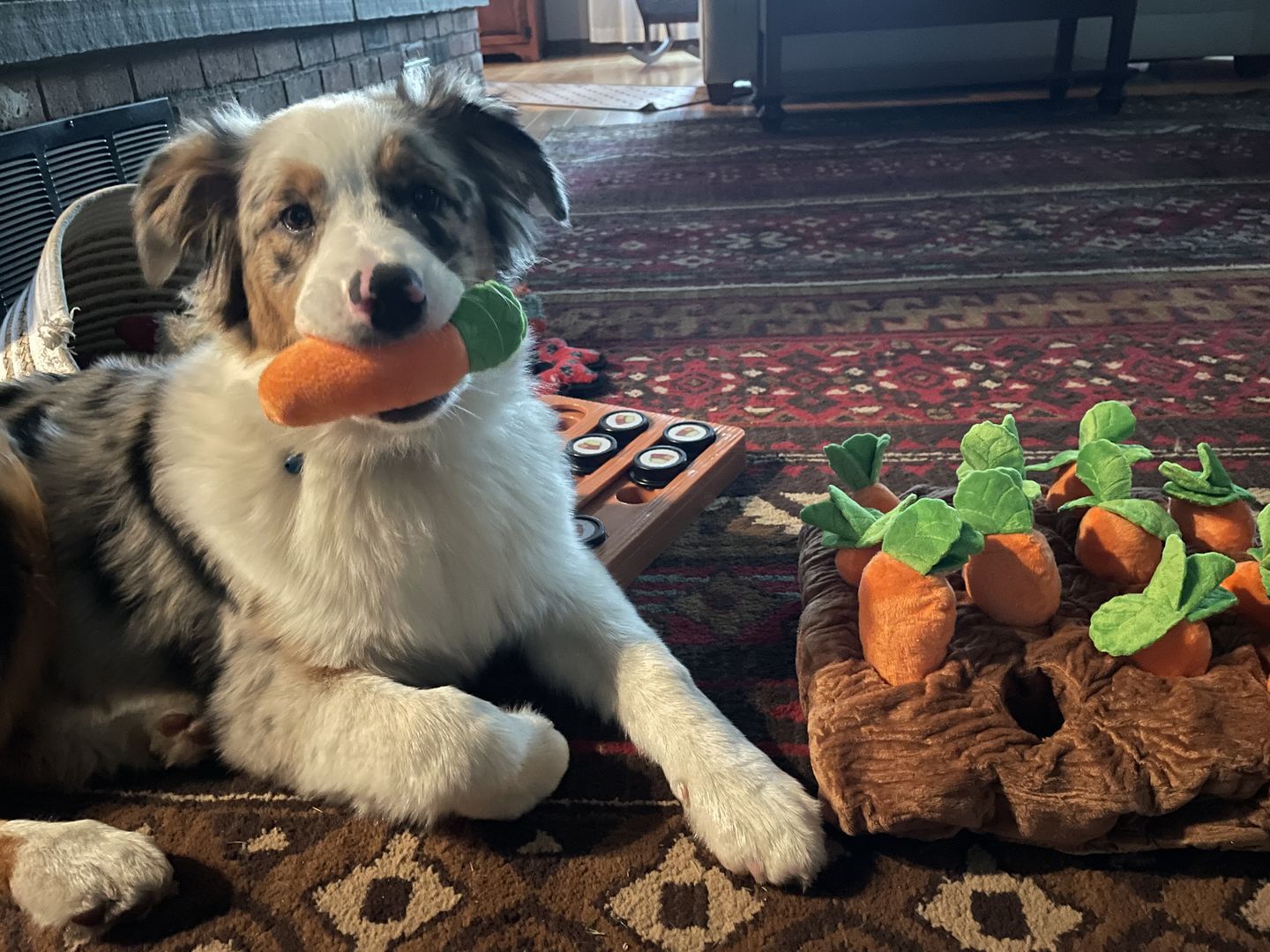 Carrot Farm Dog Toy - Slow Feeder Carrot Farm Adventure Toy - Hide Treats and Keep Your Pup Happily Entertained-Pets Are Framily