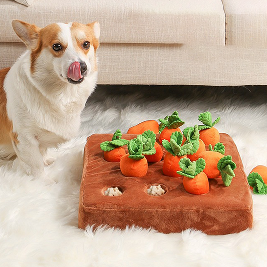 Carrot Farm Dog Toy - Slow Feeder Carrot Farm Adventure Toy - Hide Treats and Keep Your Pup Happily Entertained-Pets Are Framily