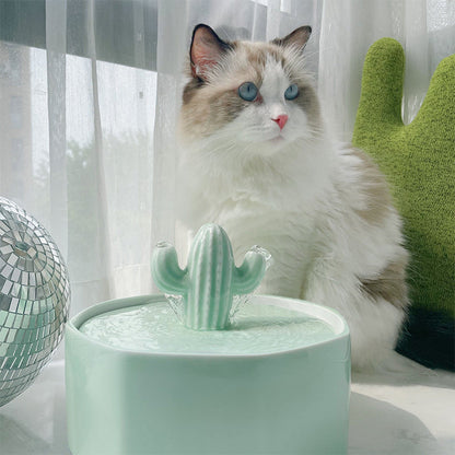 CeramicPure Cactus Pet Water Fountain-Drinking Fountain-Pets Are Framily