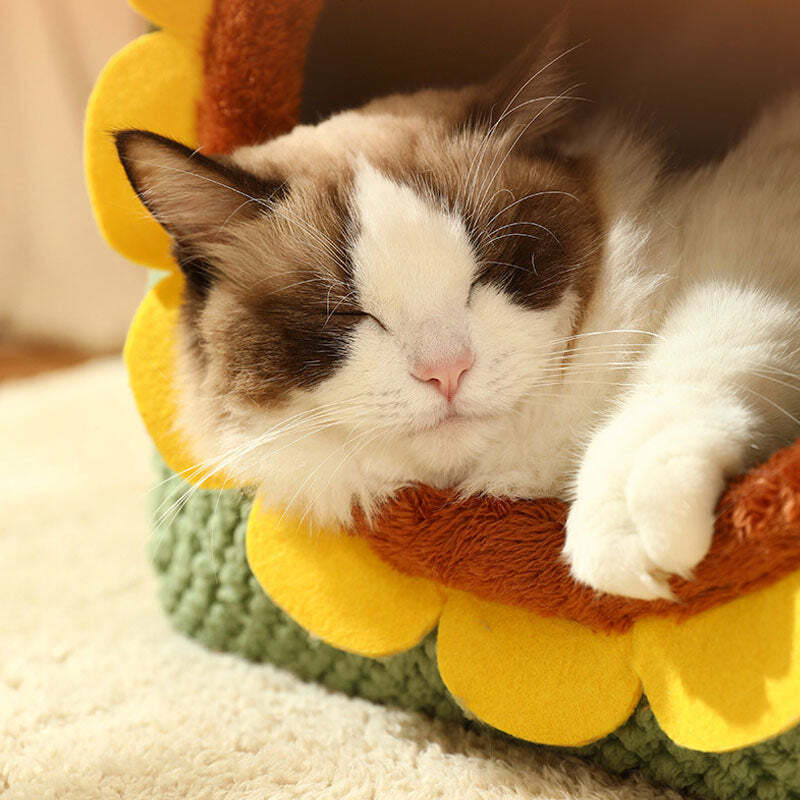 Cute Cat House - Sunflower Plush Cat House-Cat Beds-Pets Are Framily