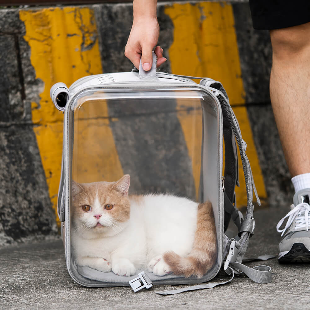 Dual Purpose Pet Trolley Case Carrier Cats Transparent Backpack with Silent Wheel-Pet Carriers & Crates-Pets Are Framily