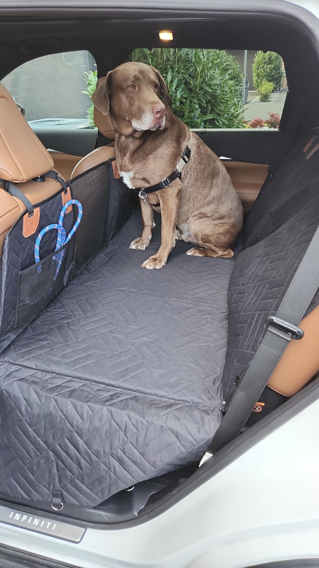 Hard Bottom Dog Car Seat Cover for Back Seat Bed for Car Camping Mattress-Dog Beds-Pets Are Framily