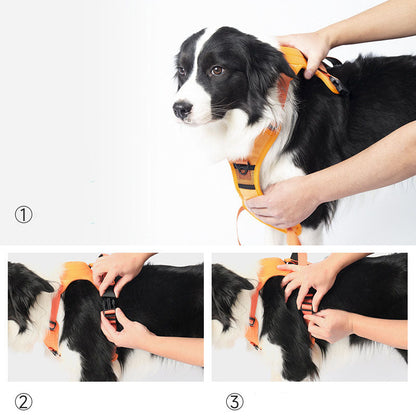 No Pull & No Choke Dog Harness with Retractable Leash-Walking Kit-Pets Are Framily