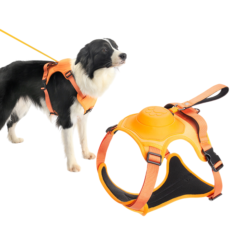 No Pull & No Choke Dog Harness with Retractable Leash-Walking Kit-Pets Are Framily