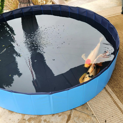 Outdoor Dog Pool, Collapsible Dog Pet Pool Bathing Tub for Puppy Small Medium Large Dogs, Blue, 40" - 64"-Pets Are Framily