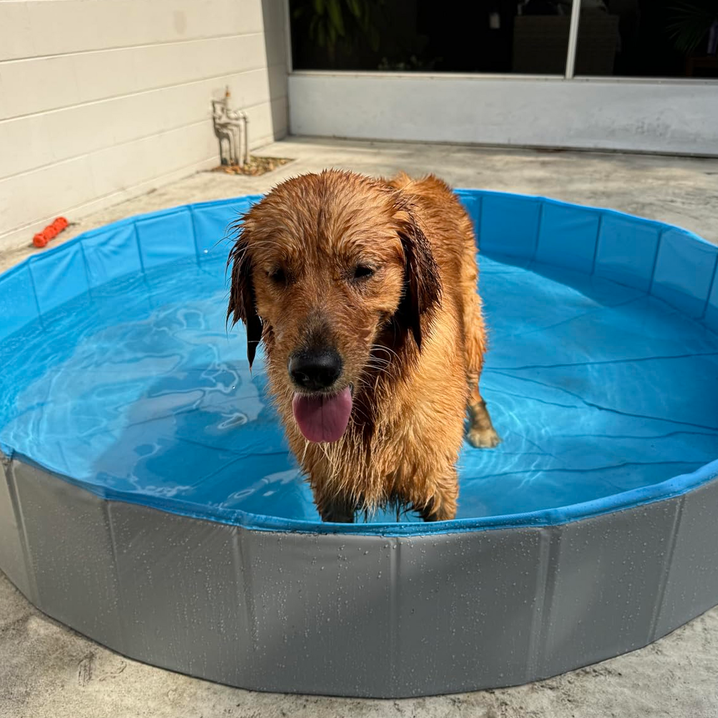 Outdoor Dog Pool, Collapsible Dog Pet Pool Bathing Tub for Puppy Small Medium Large Dogs, Blue, 40" - 64"-Pets Are Framily