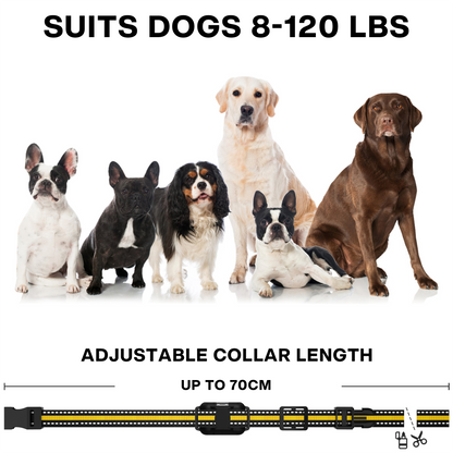 PETS ARE FRAMILY Shock Collar for Dogs - 3300 Ft Dog Training Collar with Remote, 4 Training Modes Dog Shock Collar, Waterproof E Collar for Small Medium Large Dogs (10-130lbs)-Dog Training-Pets Are Framily