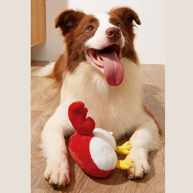 Puppy toys - interactive dog toys for medium or small dogs-Dog Toys-Pets Are Framily