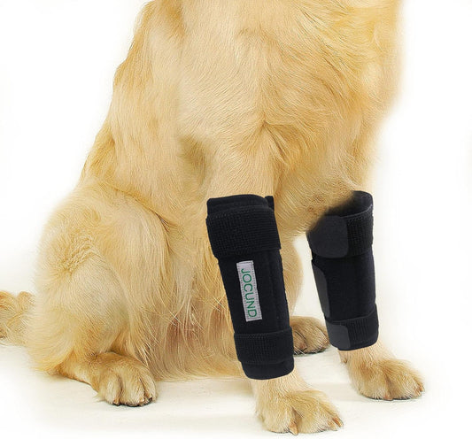 Dog Front Leg Brace, Pair of Dog Leg Brace with Metal Strips, Canine Front Leg H