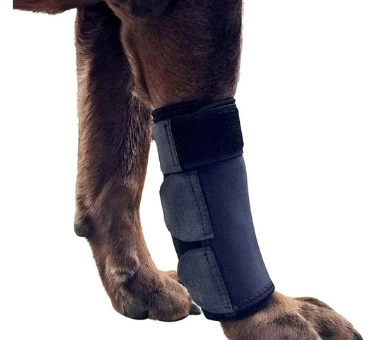 Dog Canine Front Leg Compression Brace Wrap Sleeve, Protects Wounds, Braces, Hea