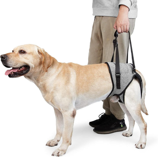 Help Em Up Dog Harness for Back Legs for Elderly Dogs with Weak Hind Legs, Disabilities, Arthritis, or ACL Recovery