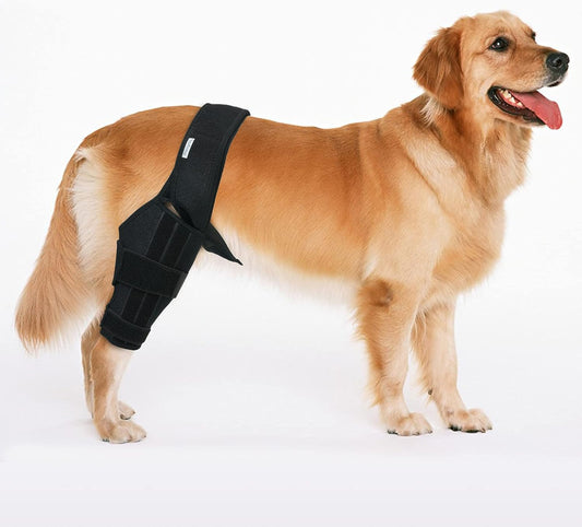 Dog Knee Brace for Dog ACL Brace Hind Leg or Rear Leg, CCL Brace Hind Leg (Size: