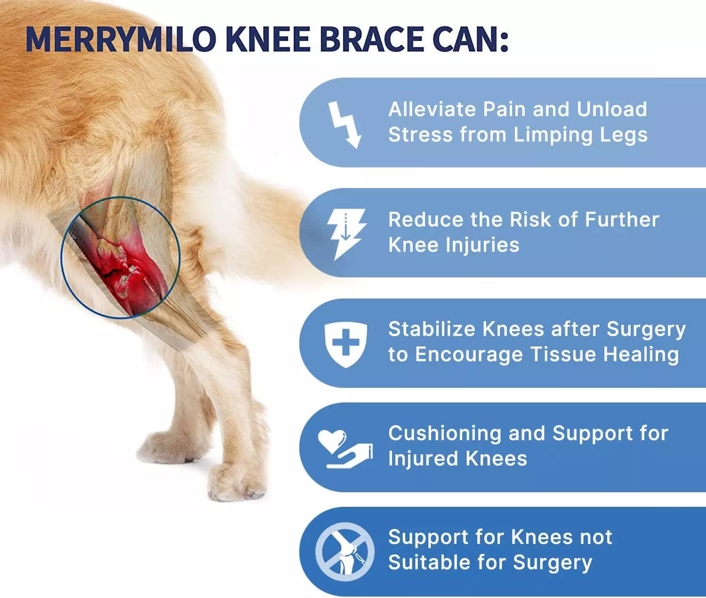 Dog Knee Brace for Dog ACL Brace Hind Leg or Rear Leg, CCL Brace Hind Leg (Size: