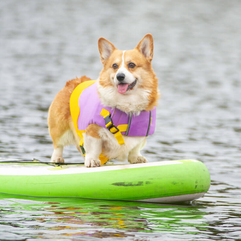 SafeSplash Dog Life Jacket - Adjustable Floatation Vest with Harness, Canine Life Vest-Dog Apparel-Pets Are Framily