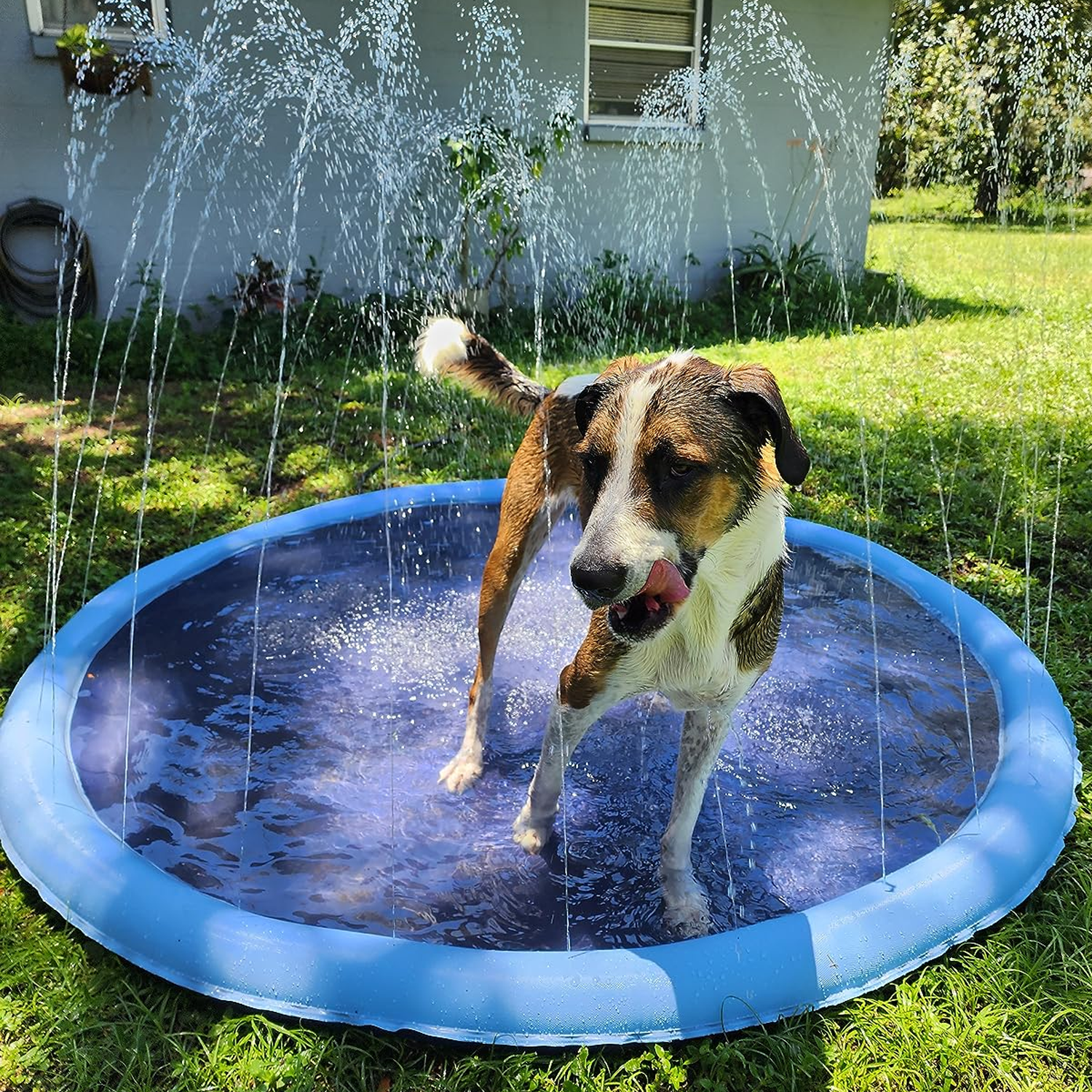 Splash Pad, Anti-Slip Splash Pad for Kids & Dogs, 0.58mm Thick Durable Material, Dog Pool Splash Sprinkler Pad-Splash Pad-Pets Are Framily